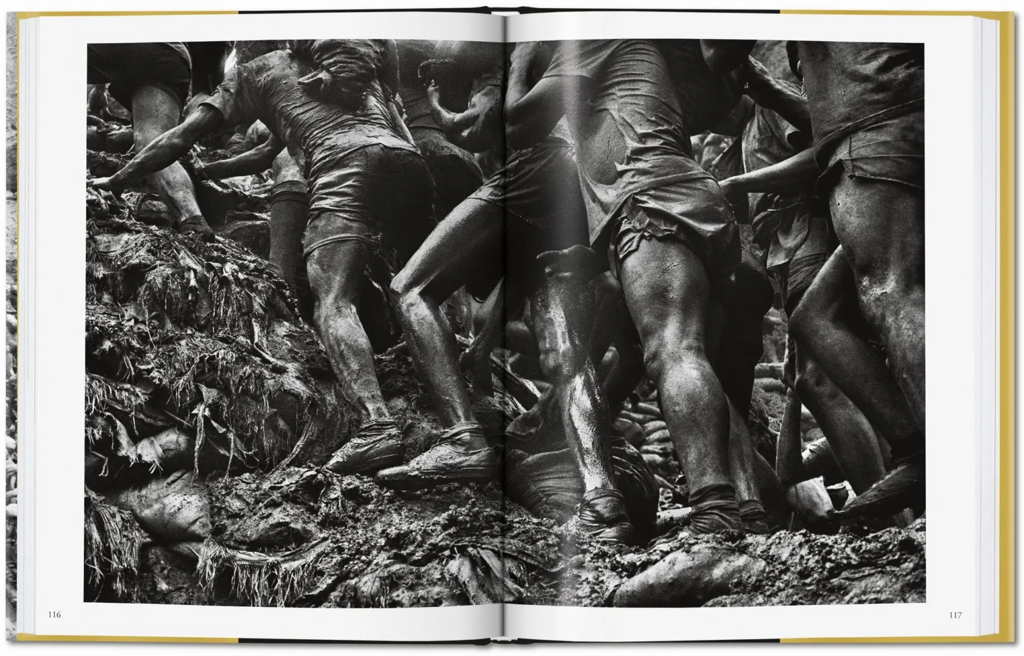Bild: 9783836575089 | Sebastião Salgado. Gold | Alan Riding | Buch | 208 S. | Deutsch | 2019