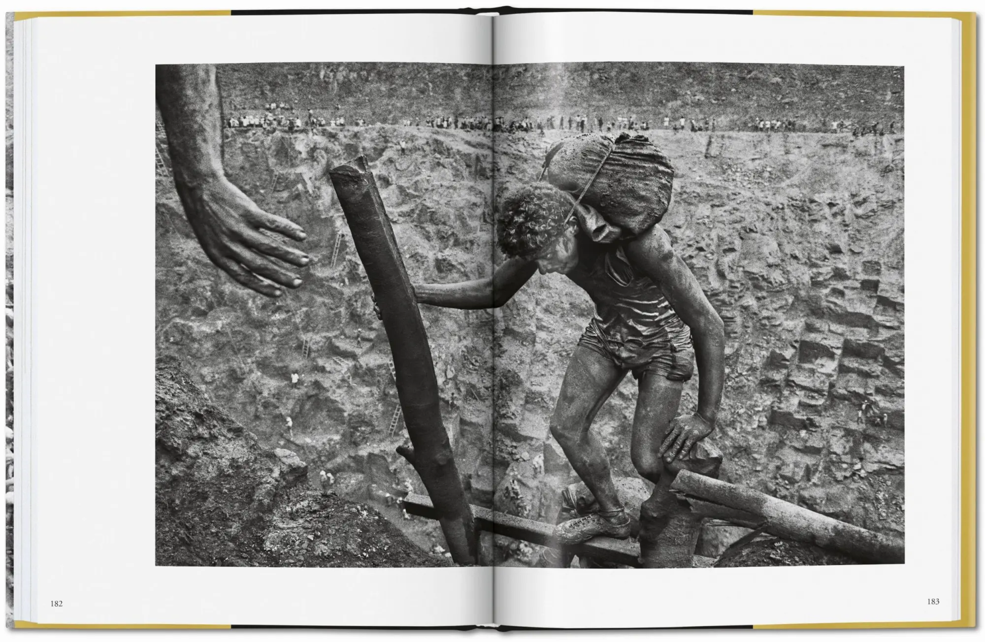 Bild: 9783836575089 | Sebastião Salgado. Gold | Alan Riding | Buch | 208 S. | Deutsch | 2019