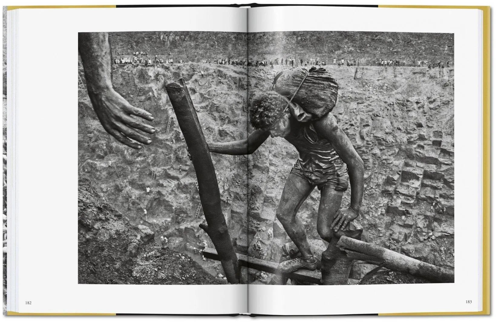 Bild: 9783836575089 | Sebastião Salgado. Gold | Alan Riding | Buch | 208 S. | Deutsch | 2019