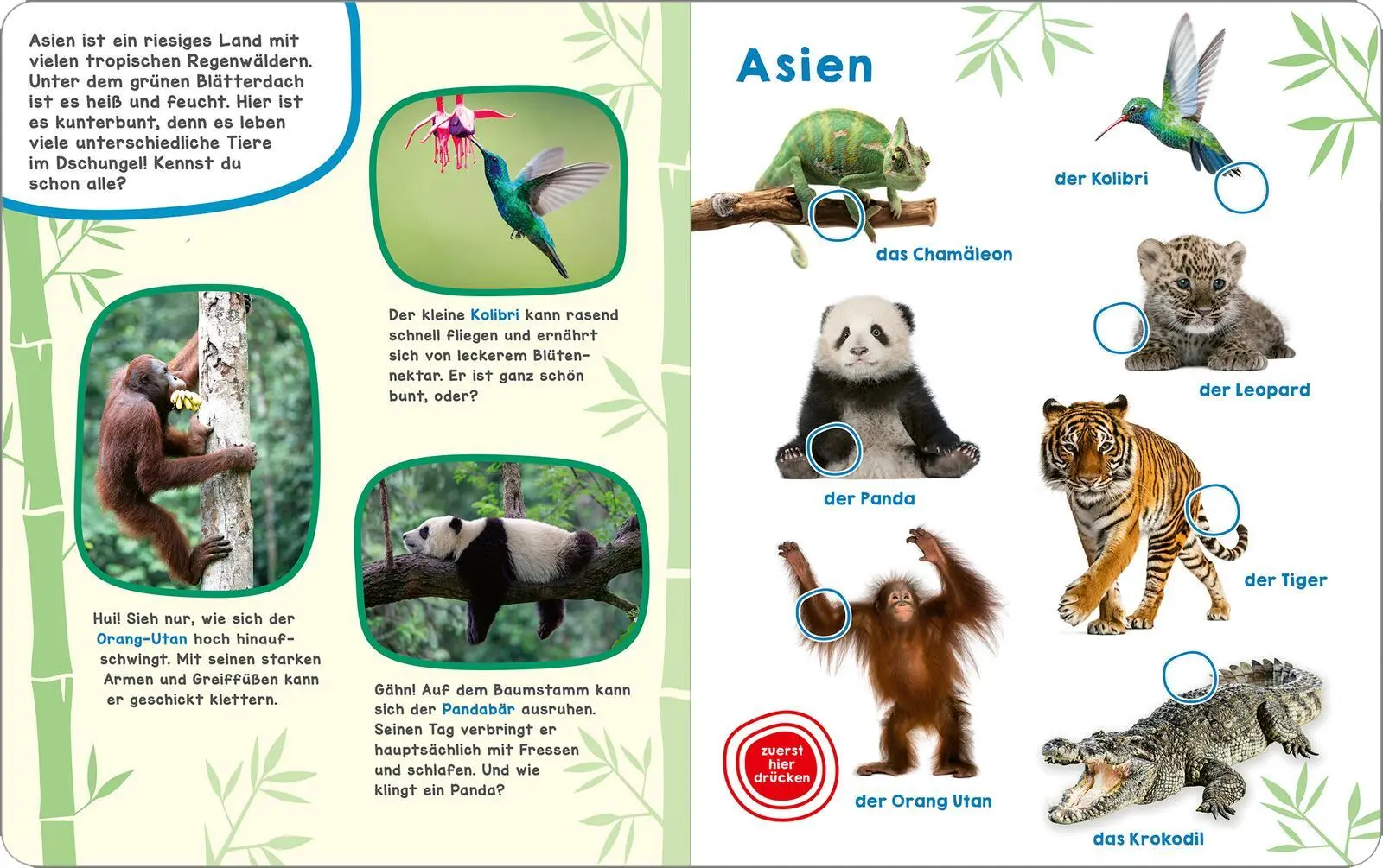 Bild: 9783845865089 | Mein großes Geräuschebuch - Tiere der Welt | Mit 49 Sounds | Buch