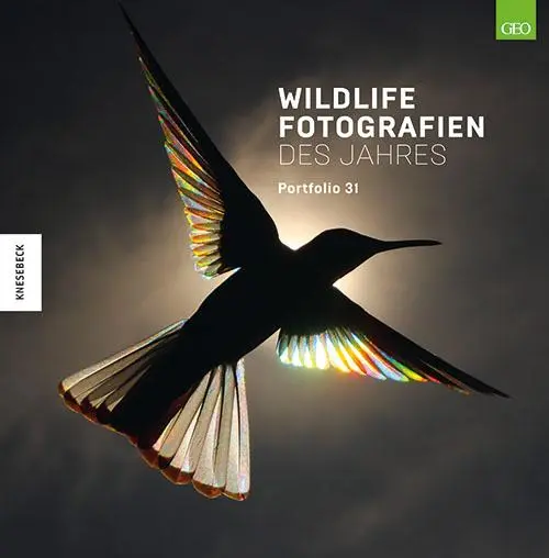 Cover: 9783957285089 | Wildlife Fotografien des Jahres - Portfolio 31 | Museum | Buch | 2021