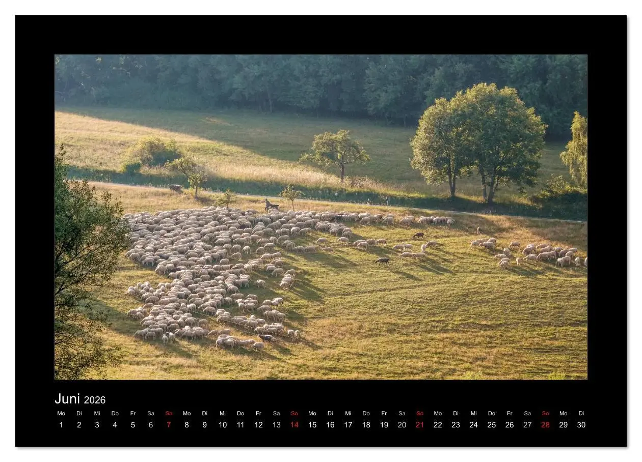 Bild: 9783516165289 | Taunus (hochwertiger Premium Wandkalender 2026 DIN A2 quer),...