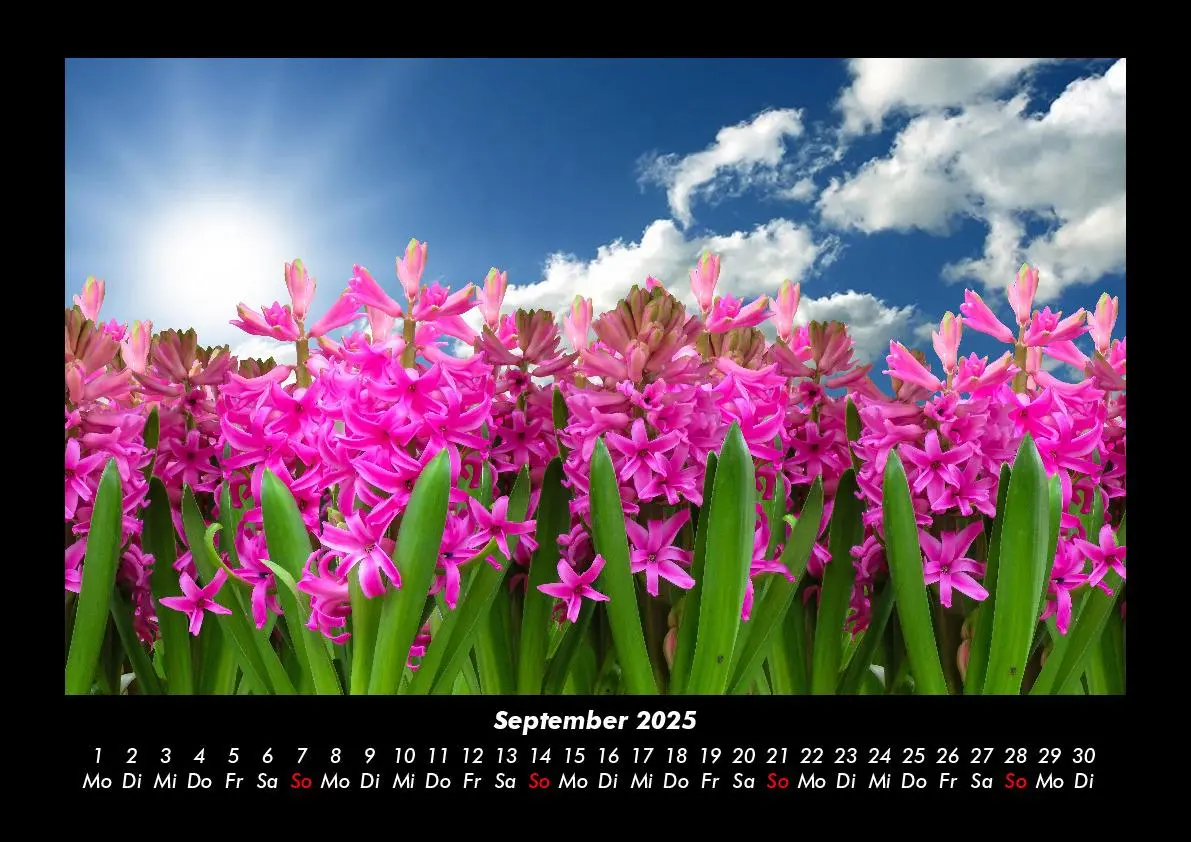 Bild: 9783755985389 | Blumenzauber 2025 Fotokalender DIN A3 | Tobias Becker | Kalender