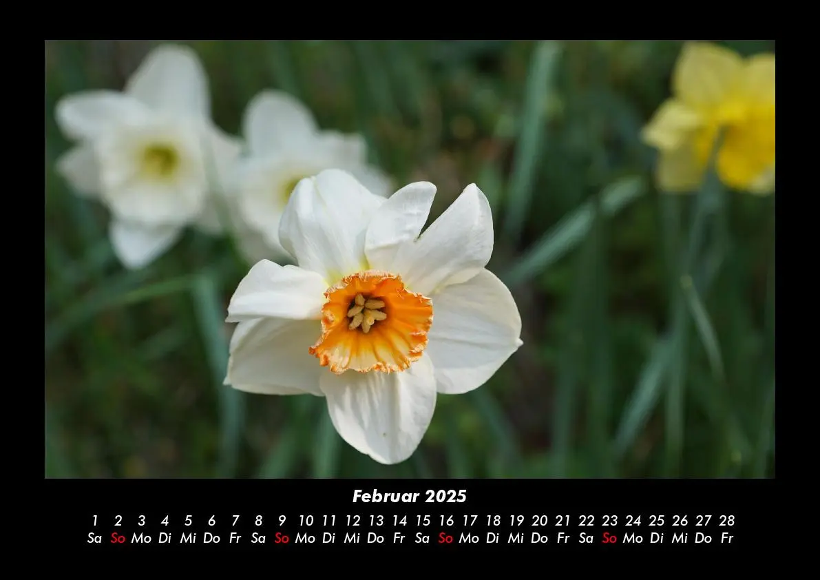 Bild: 9783755985389 | Blumenzauber 2025 Fotokalender DIN A3 | Tobias Becker | Kalender