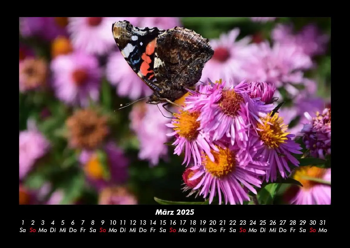 Bild: 9783755985389 | Blumenzauber 2025 Fotokalender DIN A3 | Tobias Becker | Kalender