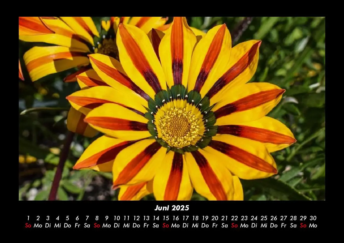 Bild: 9783755985389 | Blumenzauber 2025 Fotokalender DIN A3 | Tobias Becker | Kalender