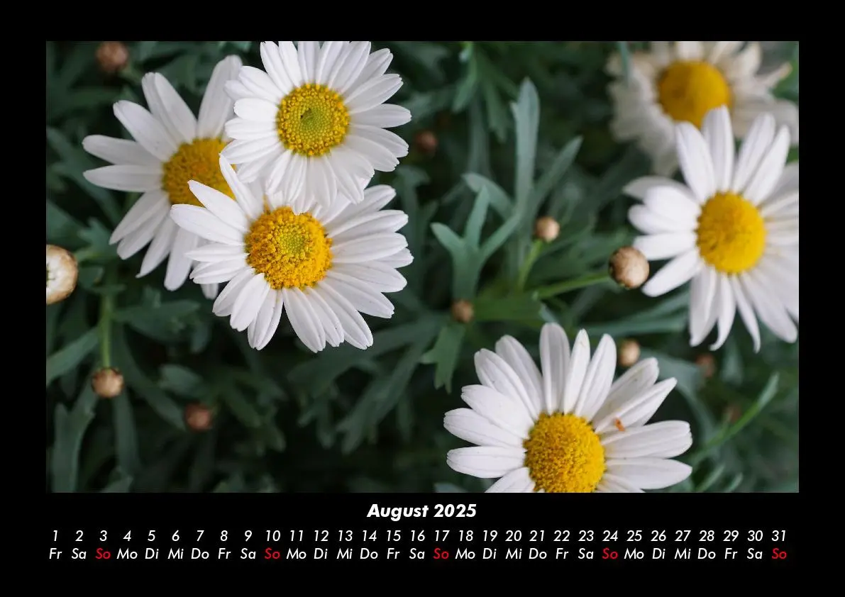 Bild: 9783755985389 | Blumenzauber 2025 Fotokalender DIN A3 | Tobias Becker | Kalender