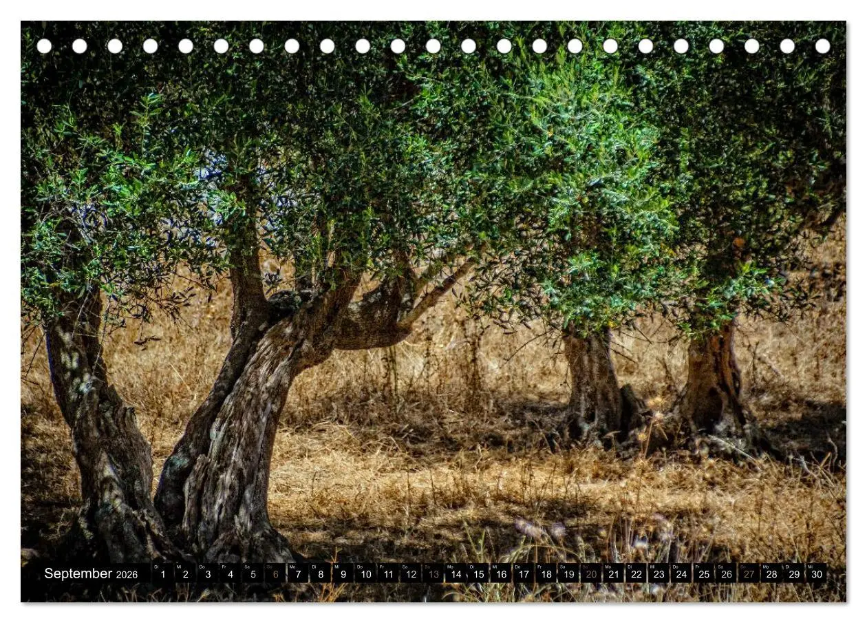 Bild: 9783516075489 | Mediterrane Ansichten 2026 (Tischkalender 2026 DIN A5 quer),...
