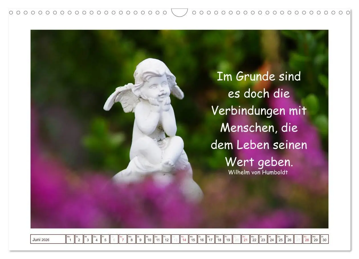 Bild: 9783516145489 | Engel-Kalender mit Zitaten / CH-Version (Wandkalender 2026 DIN A3...