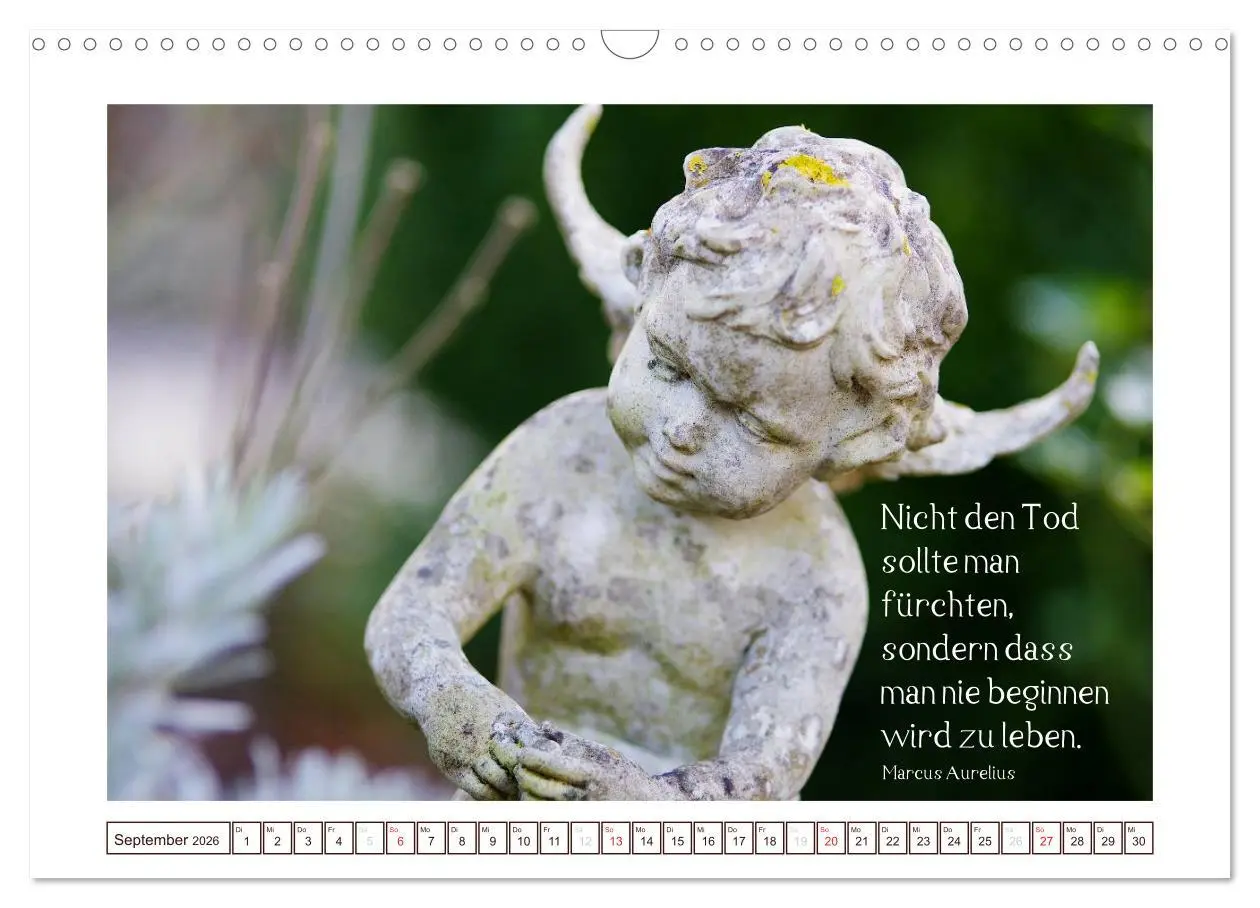 Bild: 9783516145489 | Engel-Kalender mit Zitaten / CH-Version (Wandkalender 2026 DIN A3...