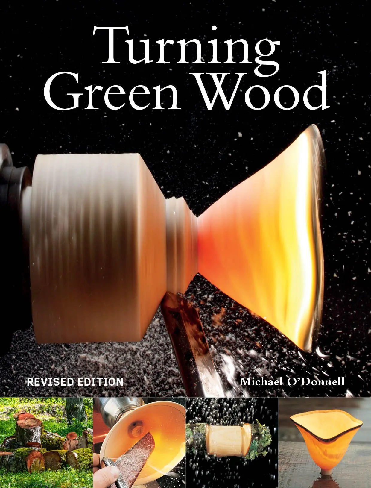 Cover: 9781784945589 | Turning Green Wood | Michael O'Donnell | Taschenbuch | Englisch | 2020