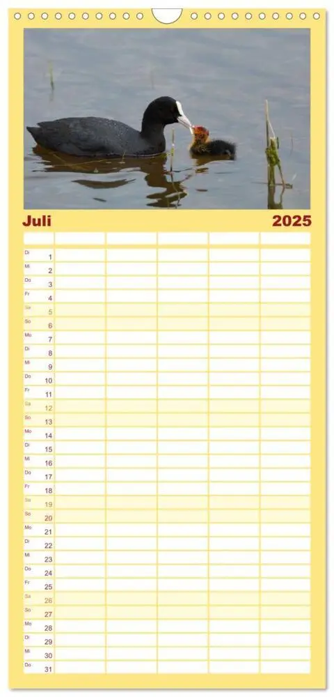 Bild: 9783457115589 | Familienplaner 2025 - Tierbabys 2025 mit 5 Spalten (Wandkalender,...
