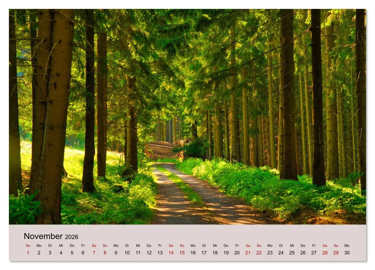 Bild: 9783457595589 | Naturerlebnis Thüringen (Wandkalender 2026 DIN A3 quer), CALVENDO...
