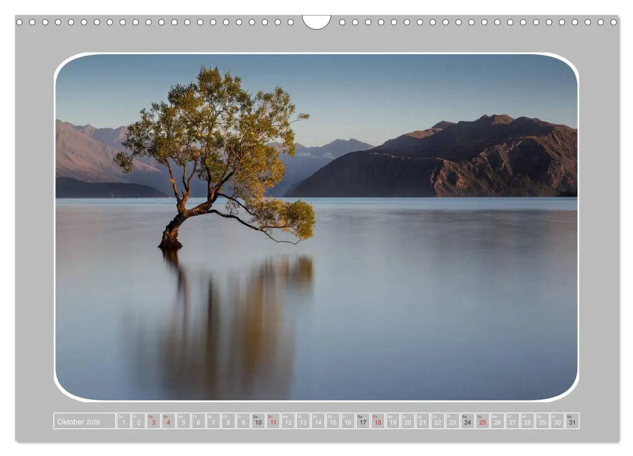 Bild: 9783516065589 | Neuseeland - Die Südinsel (Wandkalender 2026 DIN A3 quer), CALVENDO...