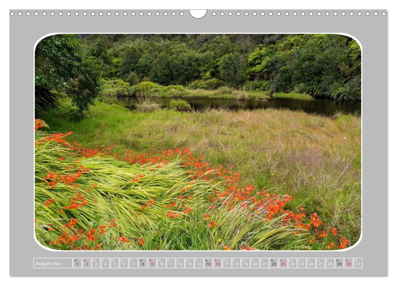 Bild: 9783516065589 | Neuseeland - Die Südinsel (Wandkalender 2026 DIN A3 quer), CALVENDO...