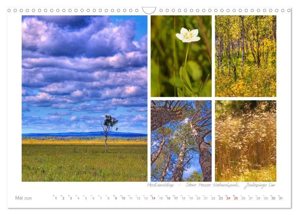 Bild: 9783516205589 | Sehnsucht Schweden - Sverige (Wandkalender 2026 DIN A3 quer),...