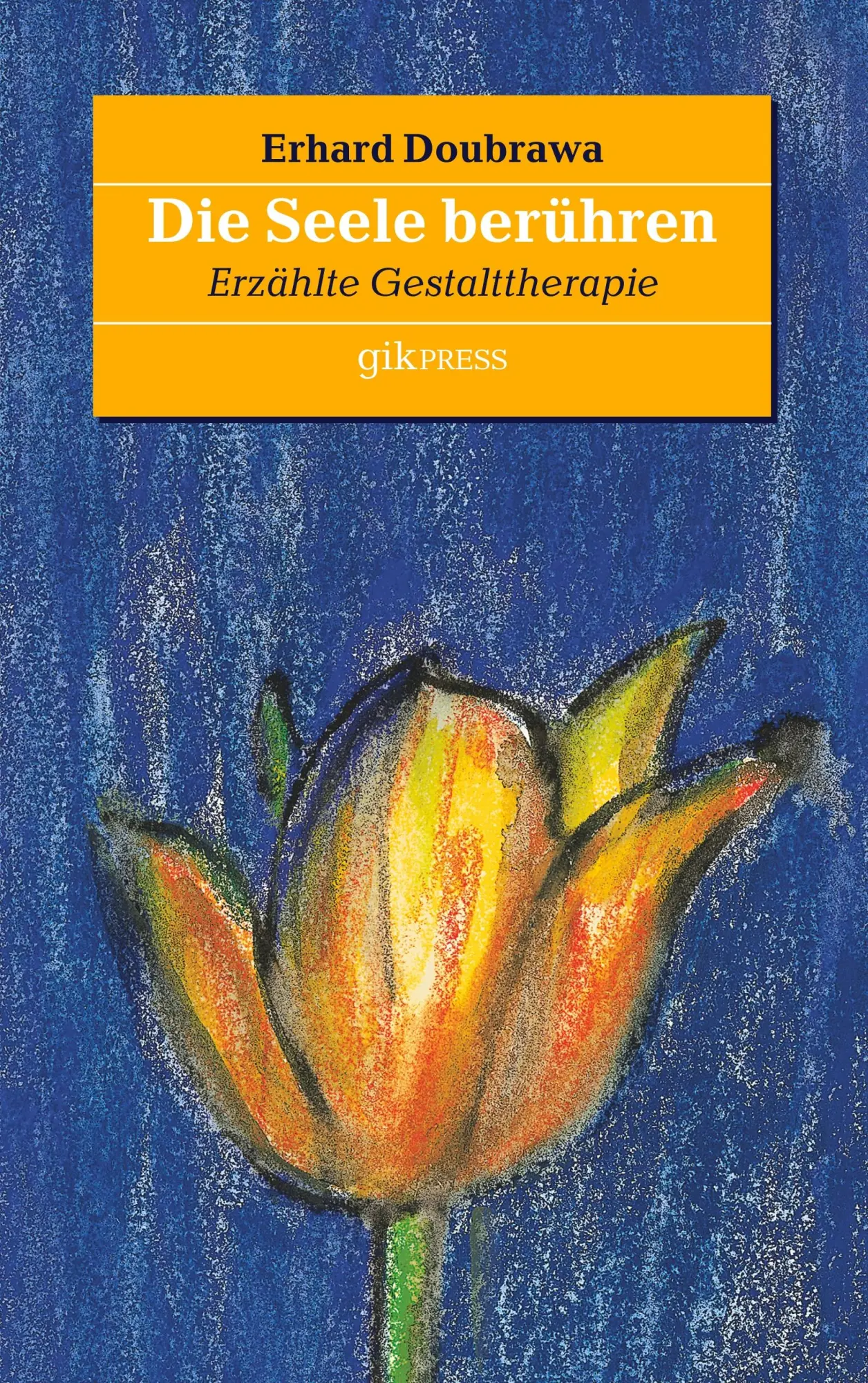Cover: 9783752825589 | Die Seele berühren | Erzählte Gestalttherapie | Erhard Doubrawa | Buch