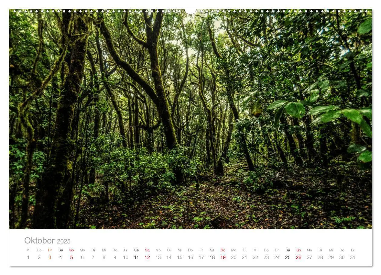 Bild: 9783435255689 | La Gomera - Die grüne Perle der Kanaren. (Wandkalender 2025 DIN A2...