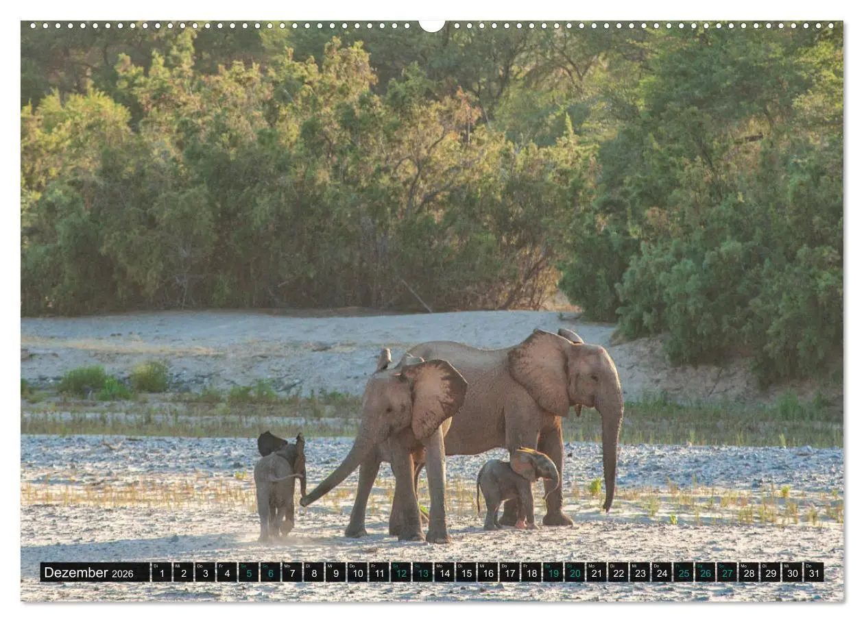 Bild: 9783457655689 | Namibia-Land der Sehnsucht (hochwertiger Premium Wandkalender 2026...