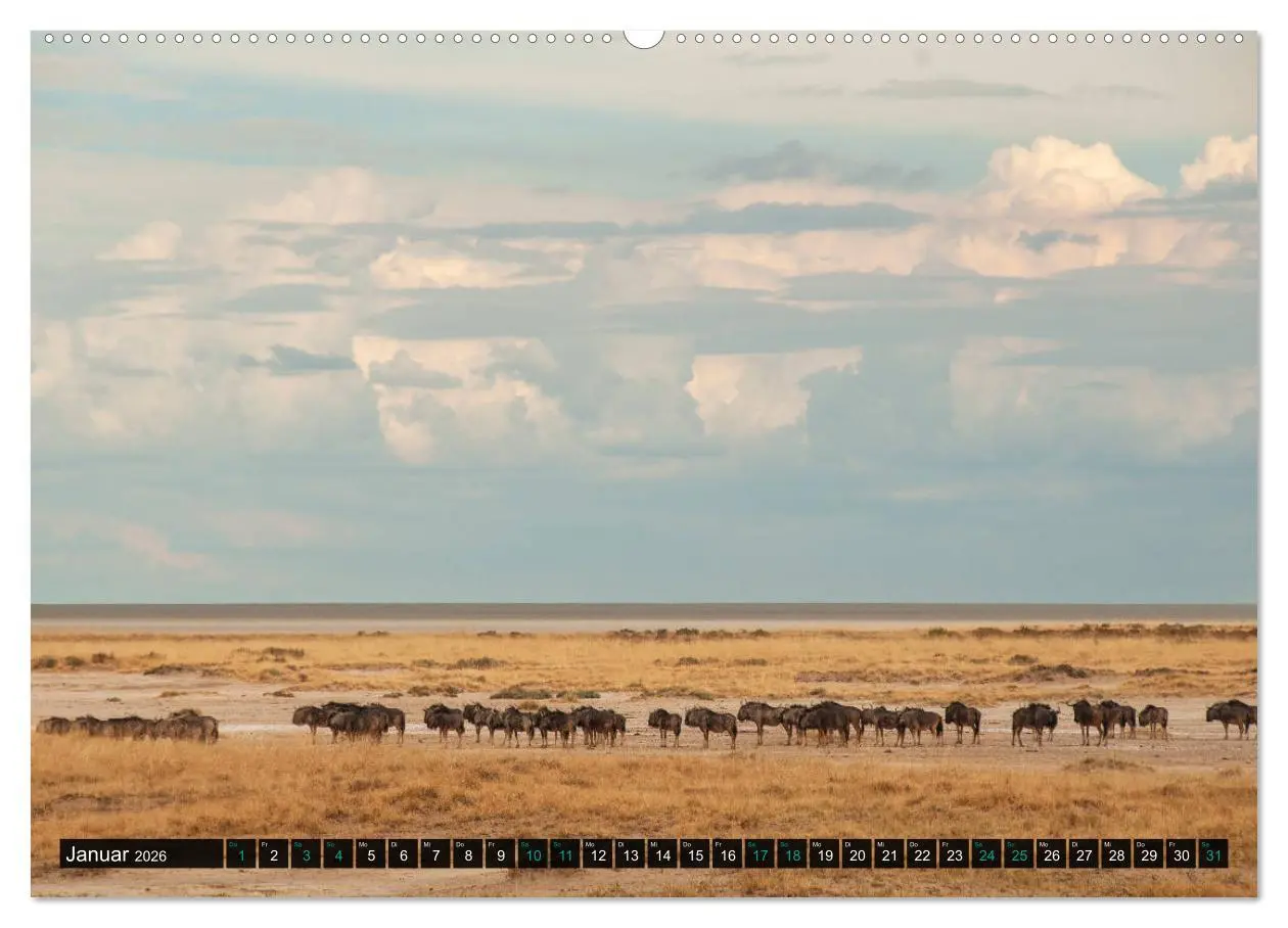 Bild: 9783457655689 | Namibia-Land der Sehnsucht (hochwertiger Premium Wandkalender 2026...