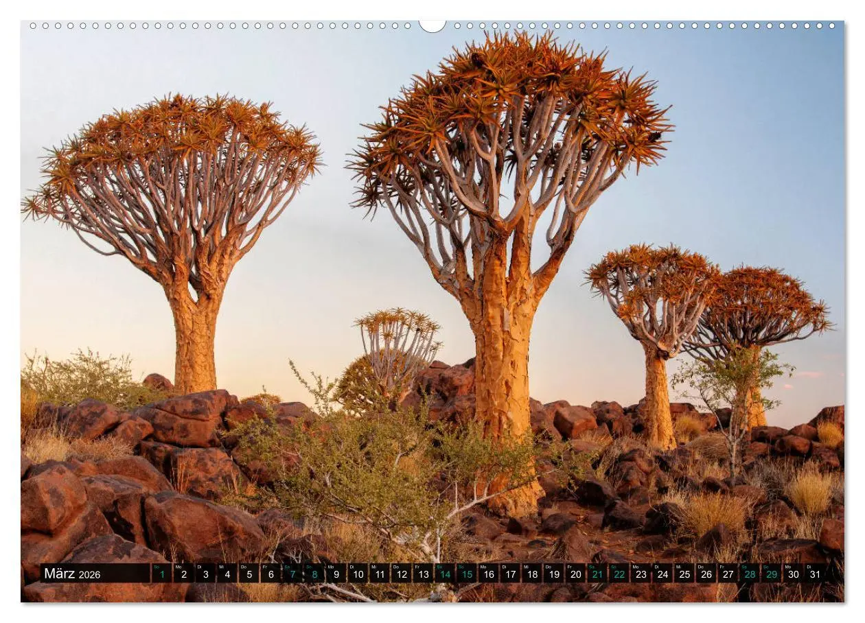 Bild: 9783457655689 | Namibia-Land der Sehnsucht (hochwertiger Premium Wandkalender 2026...