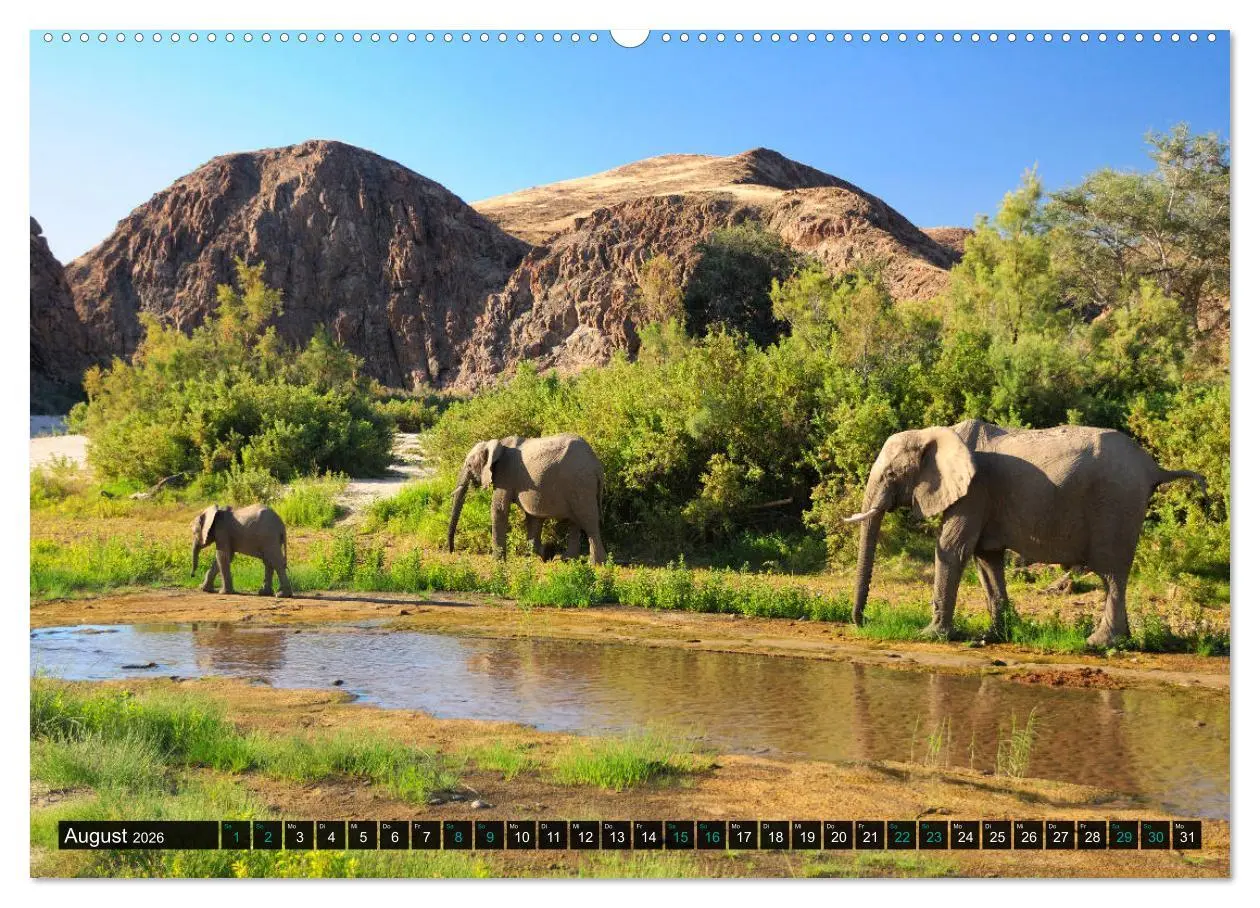 Bild: 9783457655689 | Namibia-Land der Sehnsucht (hochwertiger Premium Wandkalender 2026...