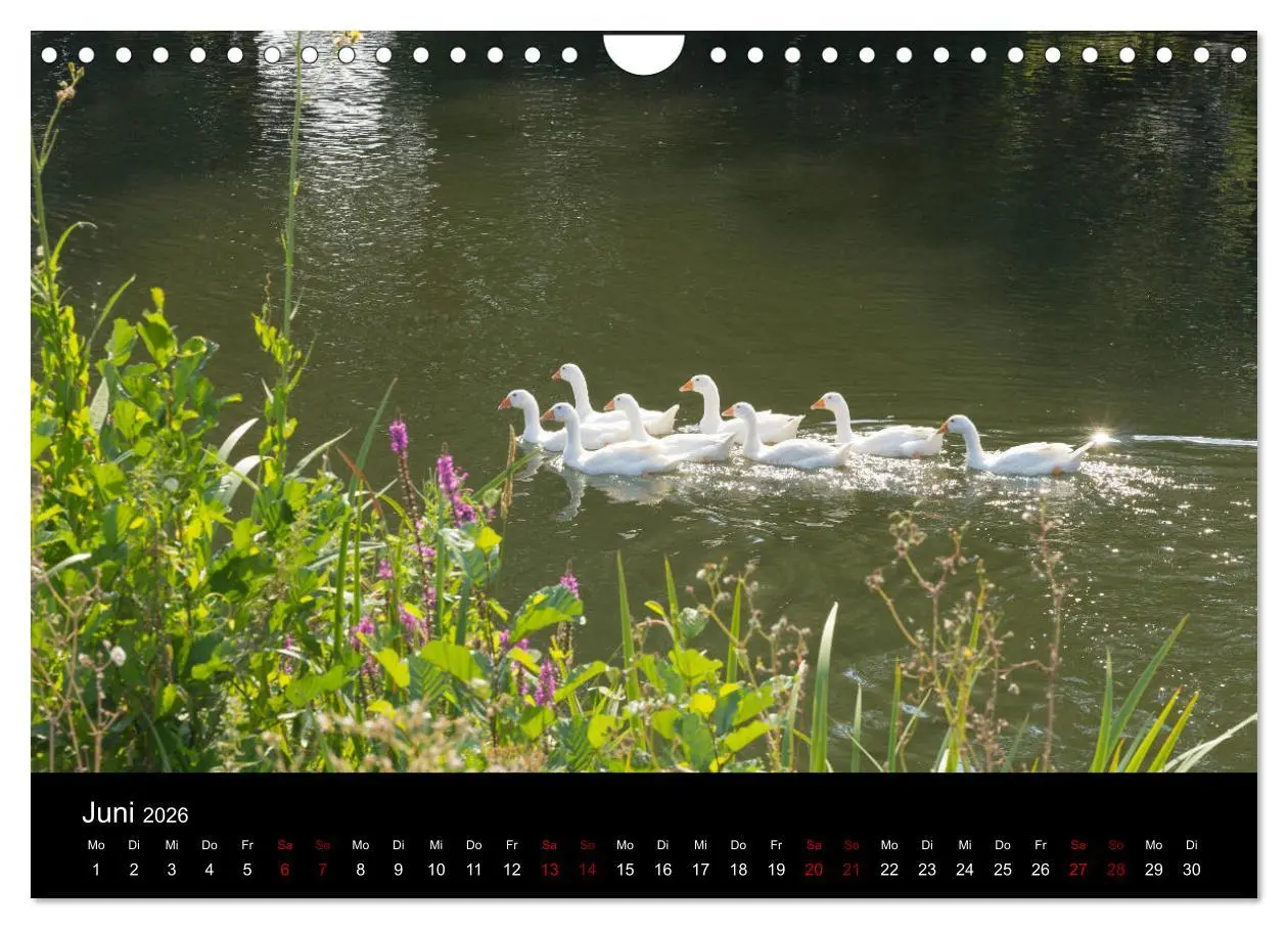 Bild: 9783457895689 | Die Amper - Ansichten eines bayerischen Flusses (Wandkalender 2026...