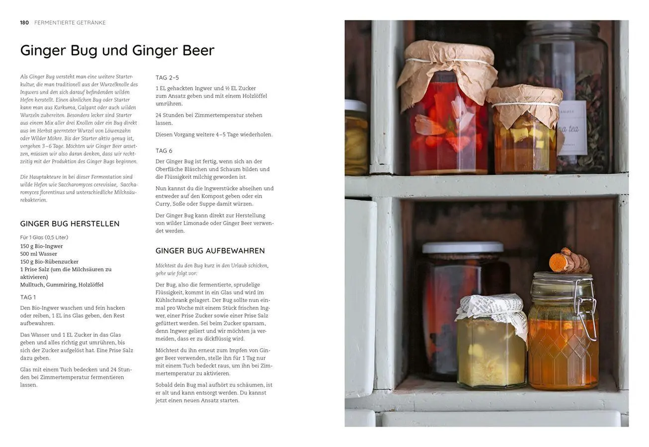 Bild: 9783818625689 | Die Kunst der wilden Fermentation | Techniken, Rezepte, Inspiration