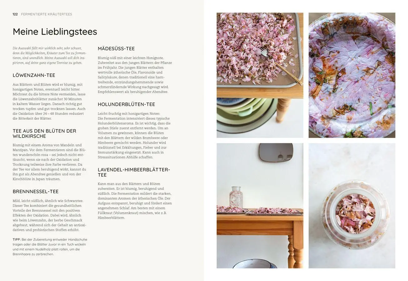 Bild: 9783818625689 | Die Kunst der wilden Fermentation | Techniken, Rezepte, Inspiration