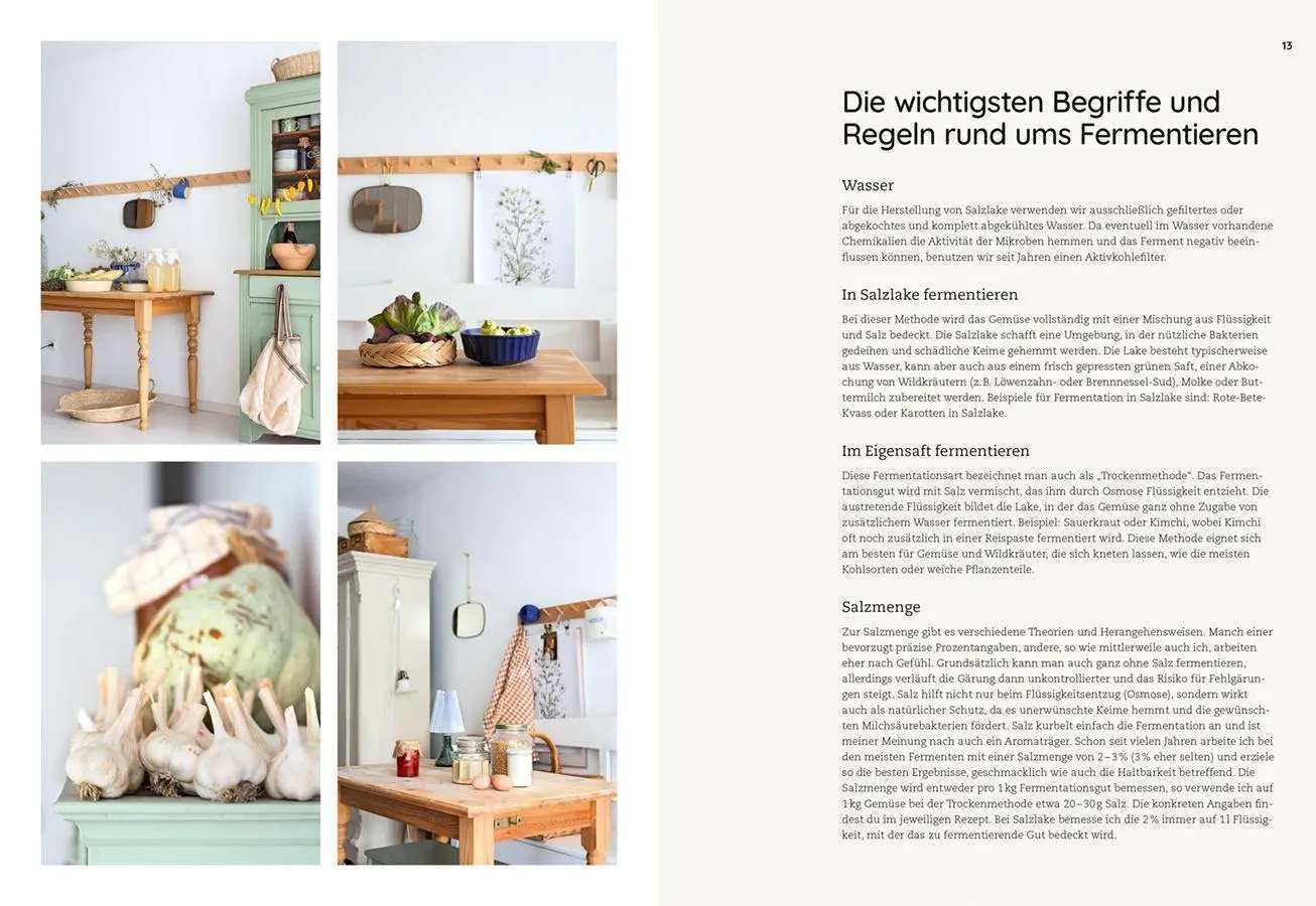 Bild: 9783818625689 | Die Kunst der wilden Fermentation | Techniken, Rezepte, Inspiration