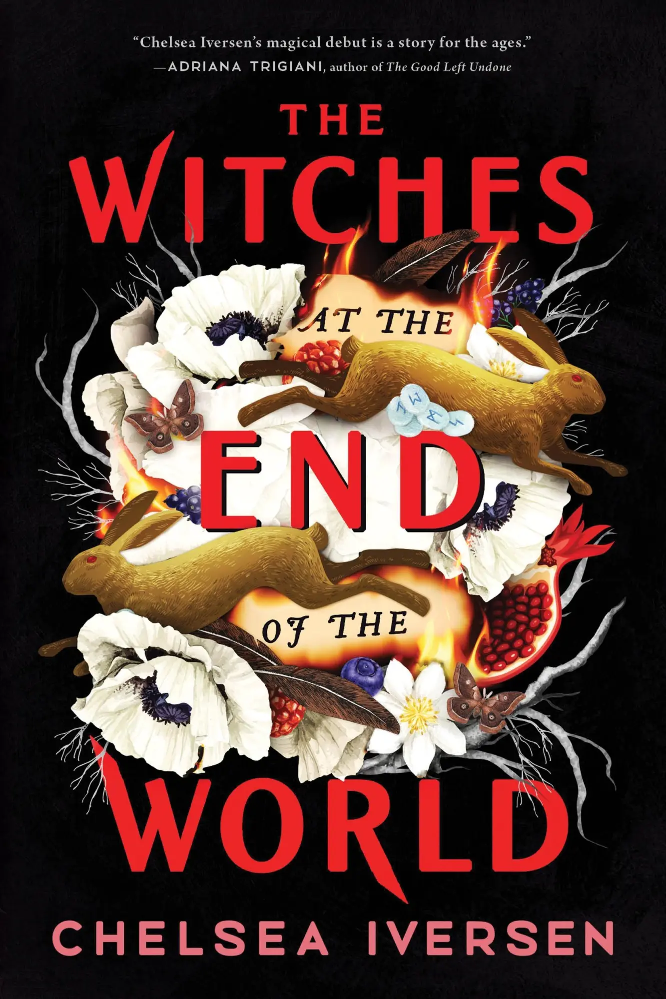 Cover: 9781728275789 | The Witches at the End of the World | Chelsea Iversen | Taschenbuch