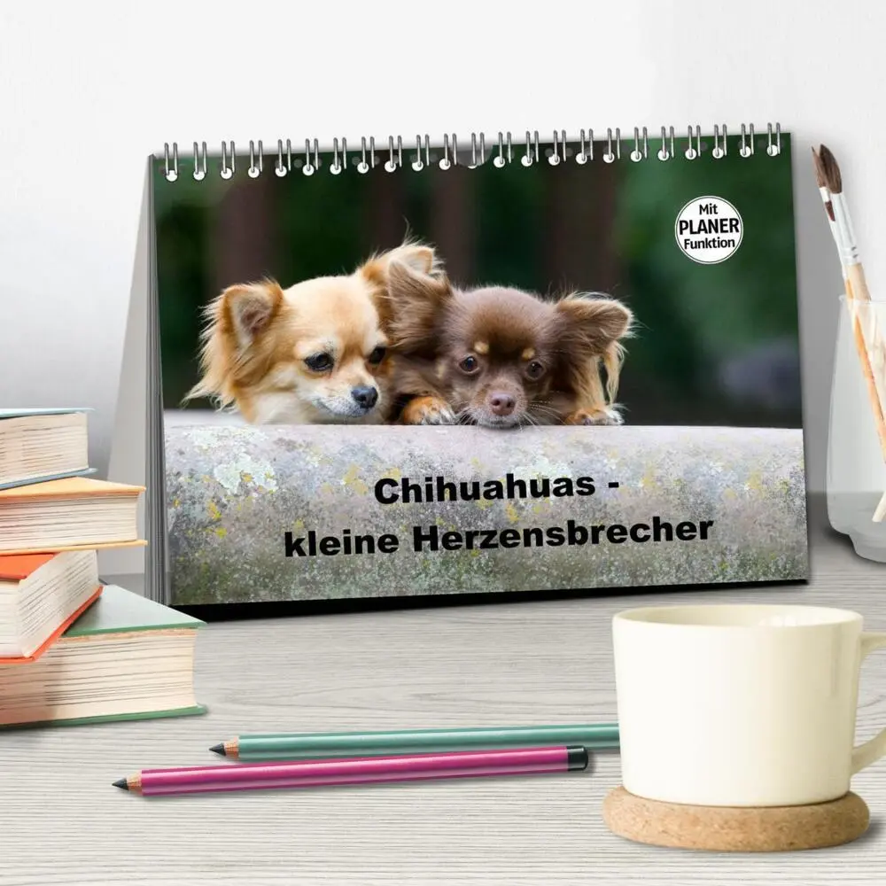 Bild: 9783435555789 | Chihuahuas - kleine Herzensbrecher (Tischkalender 2025 DIN A5...