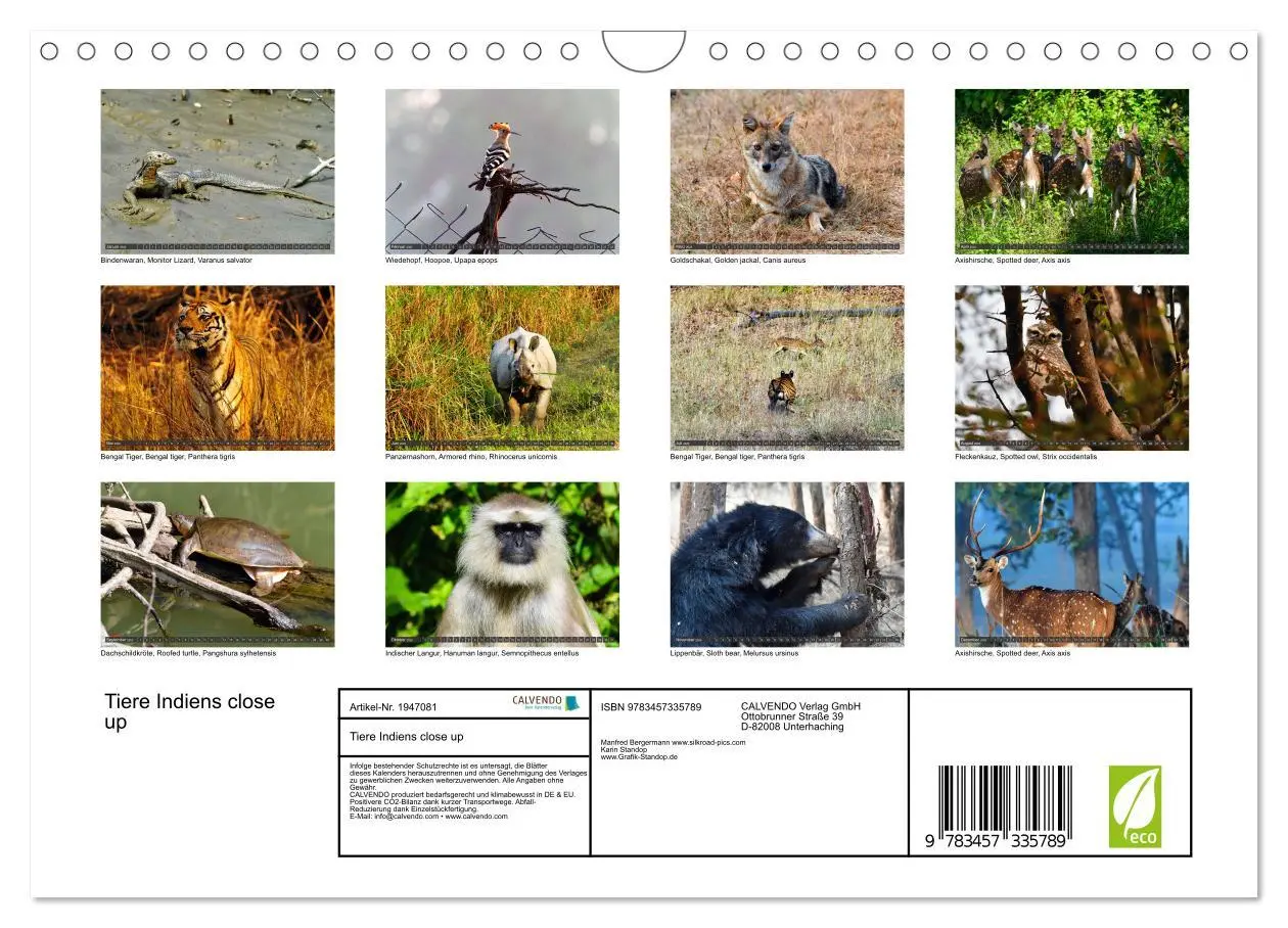 Bild: 9783457335789 | Tiere Indiens close up (Wandkalender 2026 DIN A4 quer), CALVENDO...
