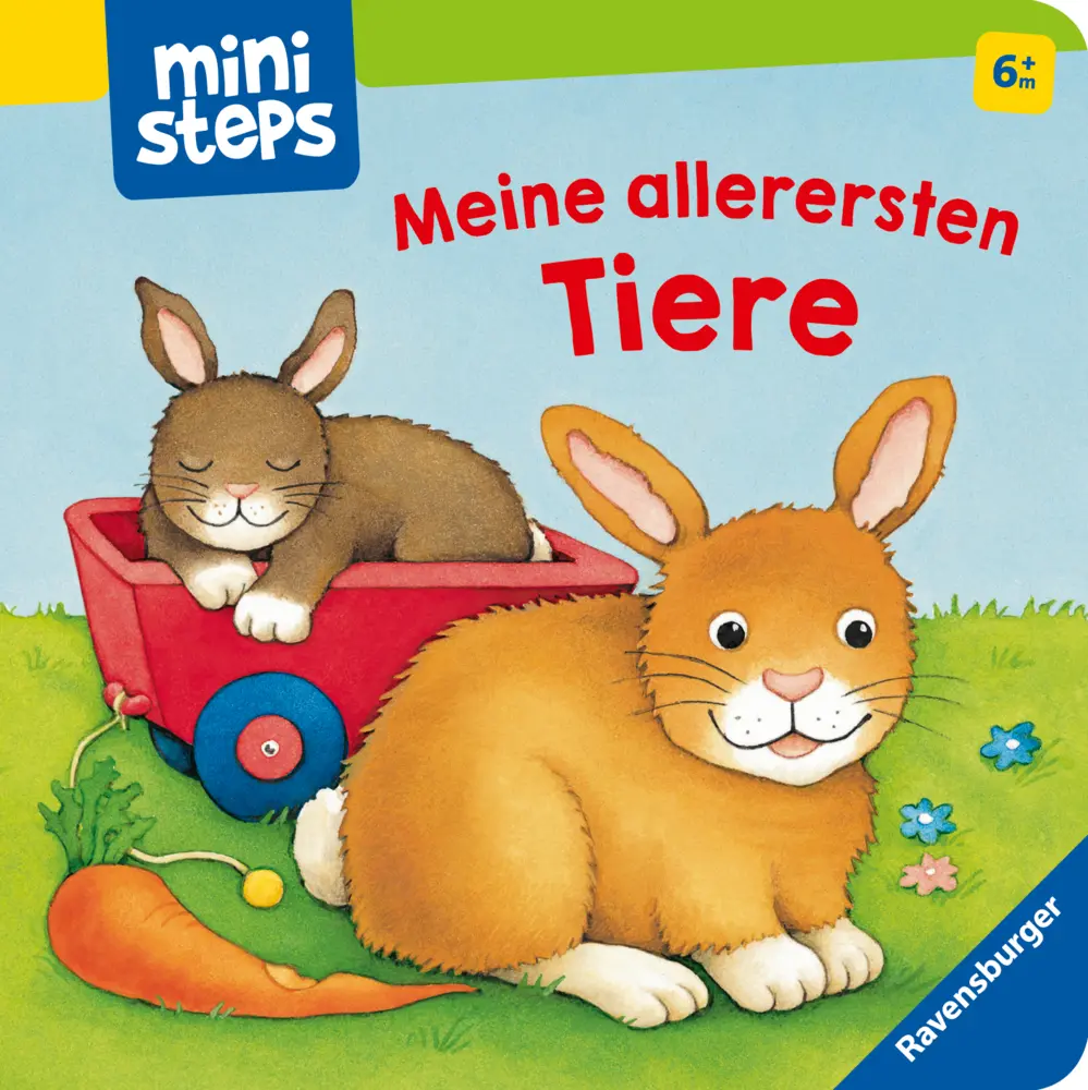 Cover: 9783473315789 | ministeps: Meine allerersten Tiere | Monika Neubacher-Fesser | Buch