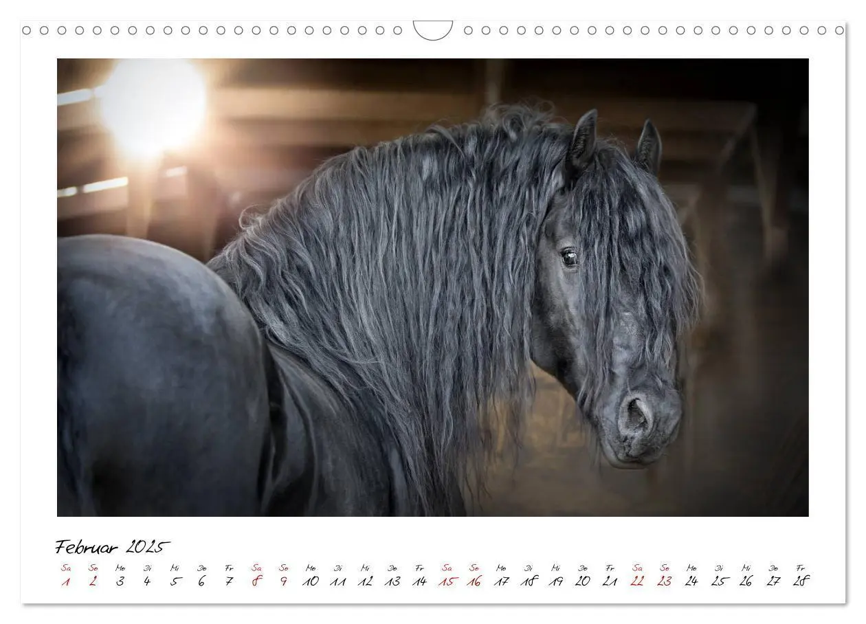 Bild: 9783435235889 | Friesen - stolze Giganten (Wandkalender 2025 DIN A3 quer), CALVENDO...