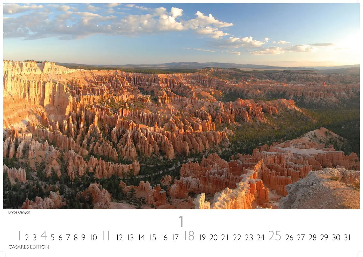 Bild: 9781835245989 | Nationalparks USA 2026 L 35x50cm | Kalender | 14 S. | Deutsch | 2026