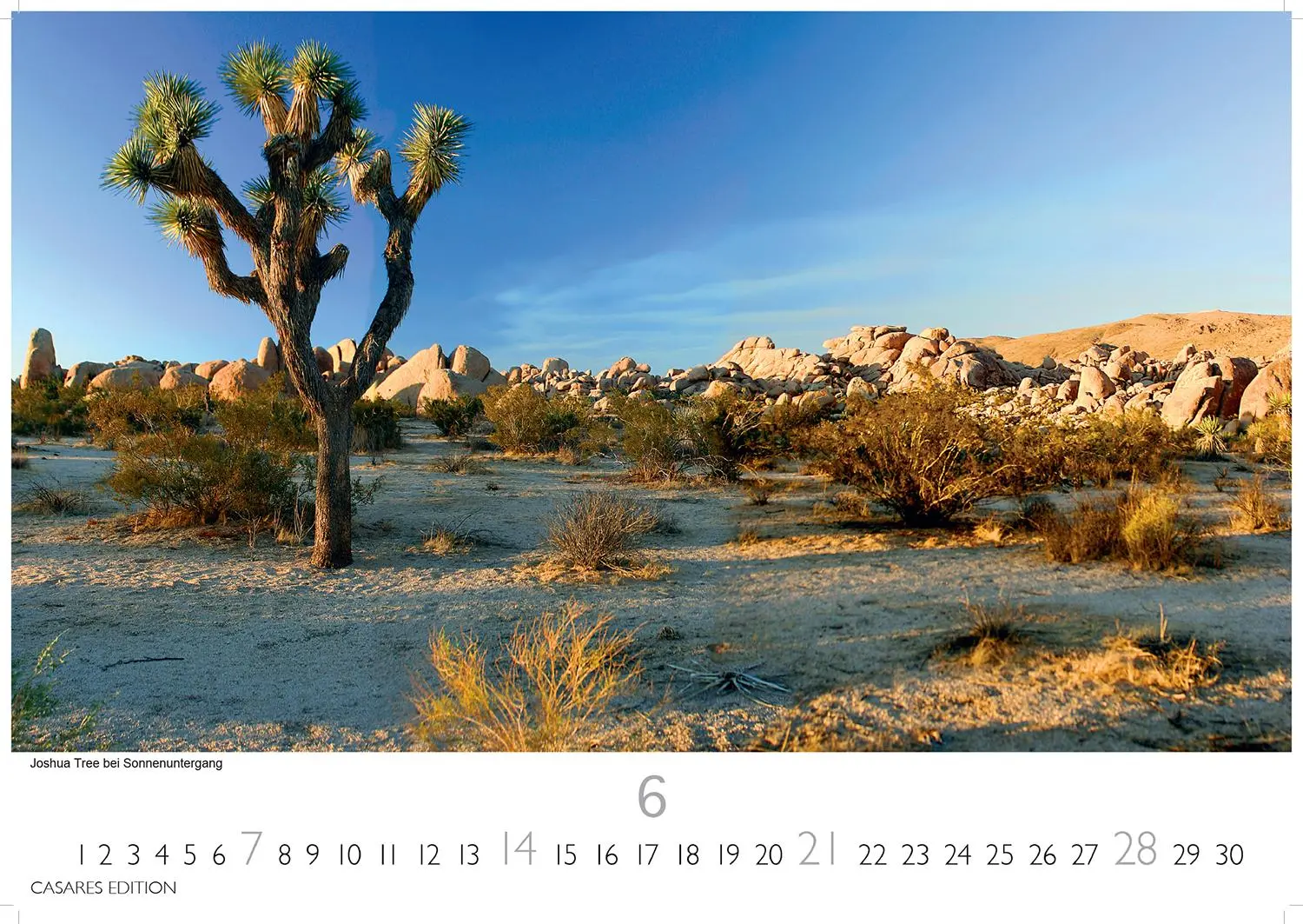 Bild: 9781835245989 | Nationalparks USA 2026 L 35x50cm | Kalender | 14 S. | Deutsch | 2026