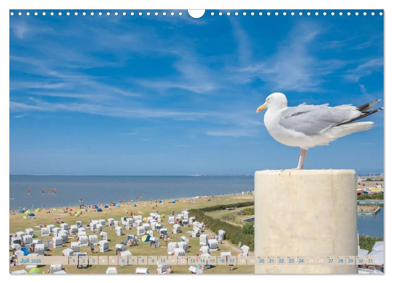 Bild: 9783457625989 | Mein Land, Ostfriesland (Wandkalender 2026 DIN A3 quer), CALVENDO...
