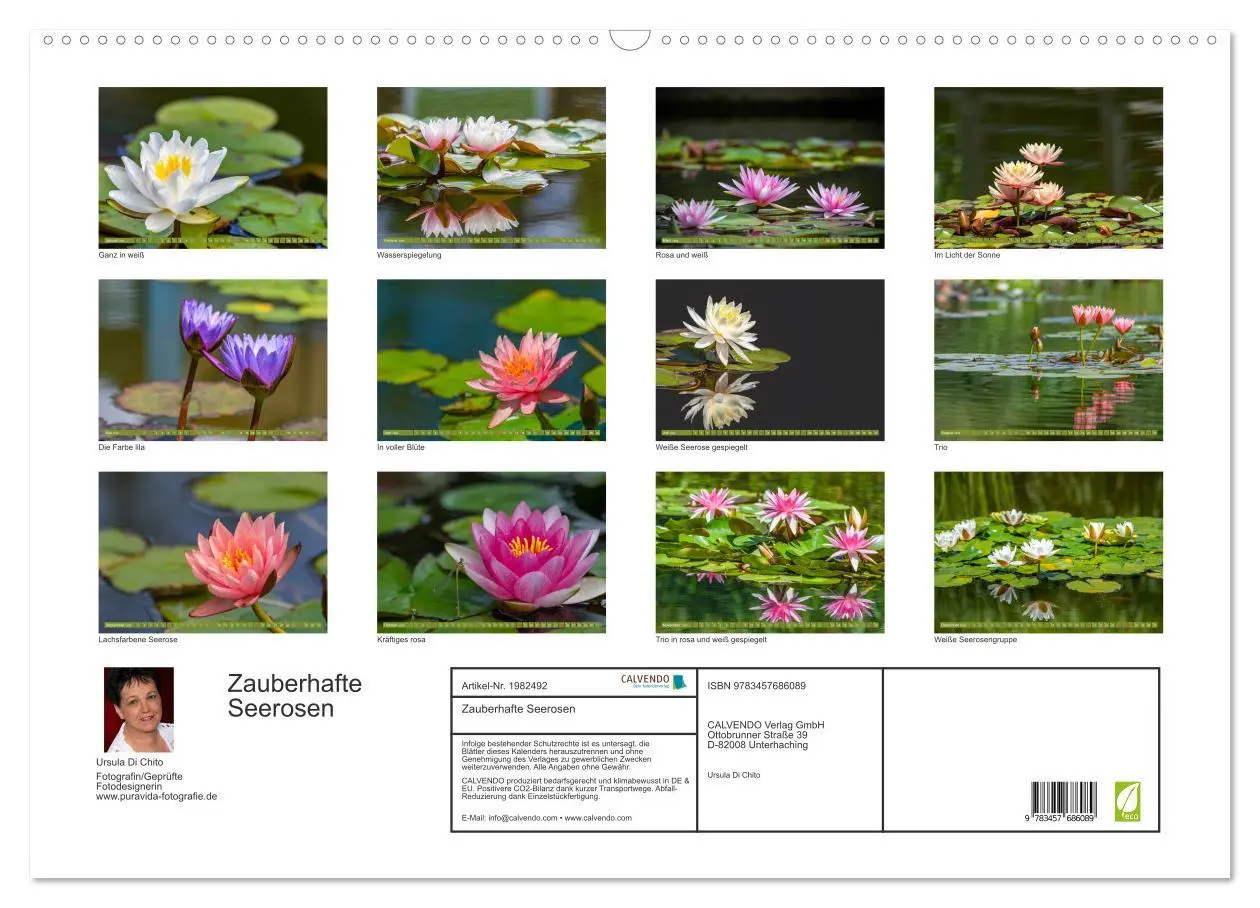 Bild: 9783457686089 | Zauberhafte Seerosen (Wandkalender 2026 DIN A2 quer), CALVENDO...