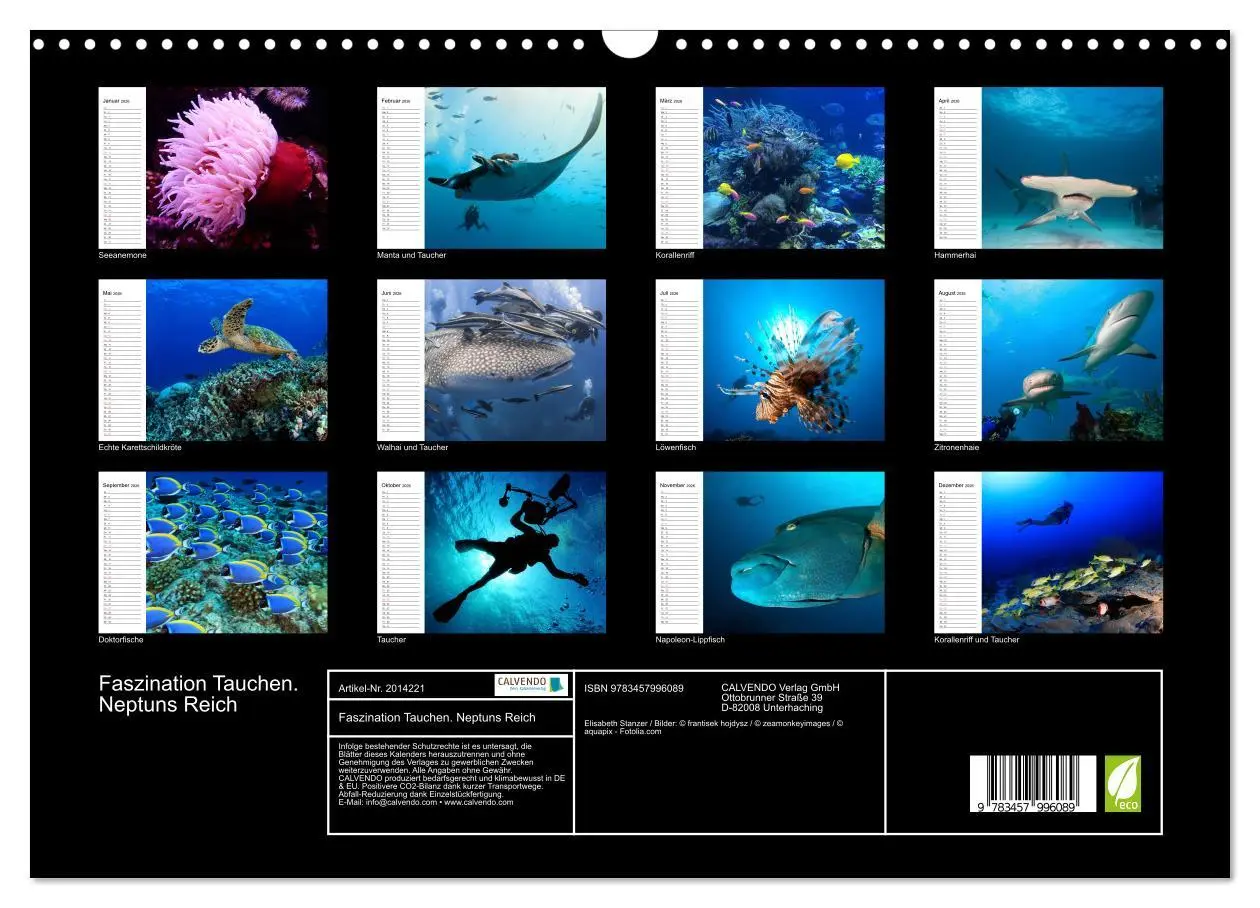 Bild: 9783457996089 | Faszination Tauchen. Neptuns Reich (Wandkalender 2026 DIN A3 quer),...