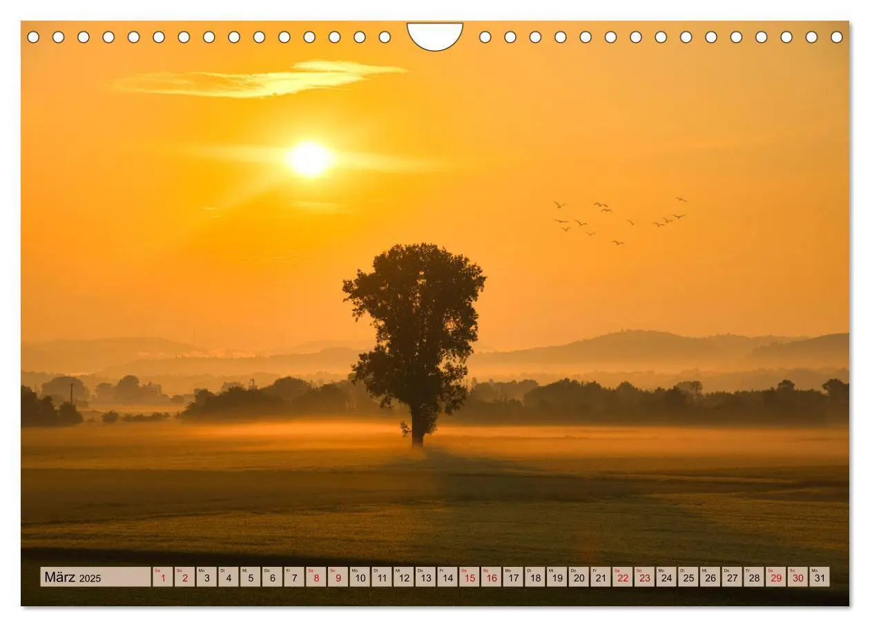 Bild: 9783435036189 | Ortenau - die badische Toskana (Wandkalender 2025 DIN A4 quer),...