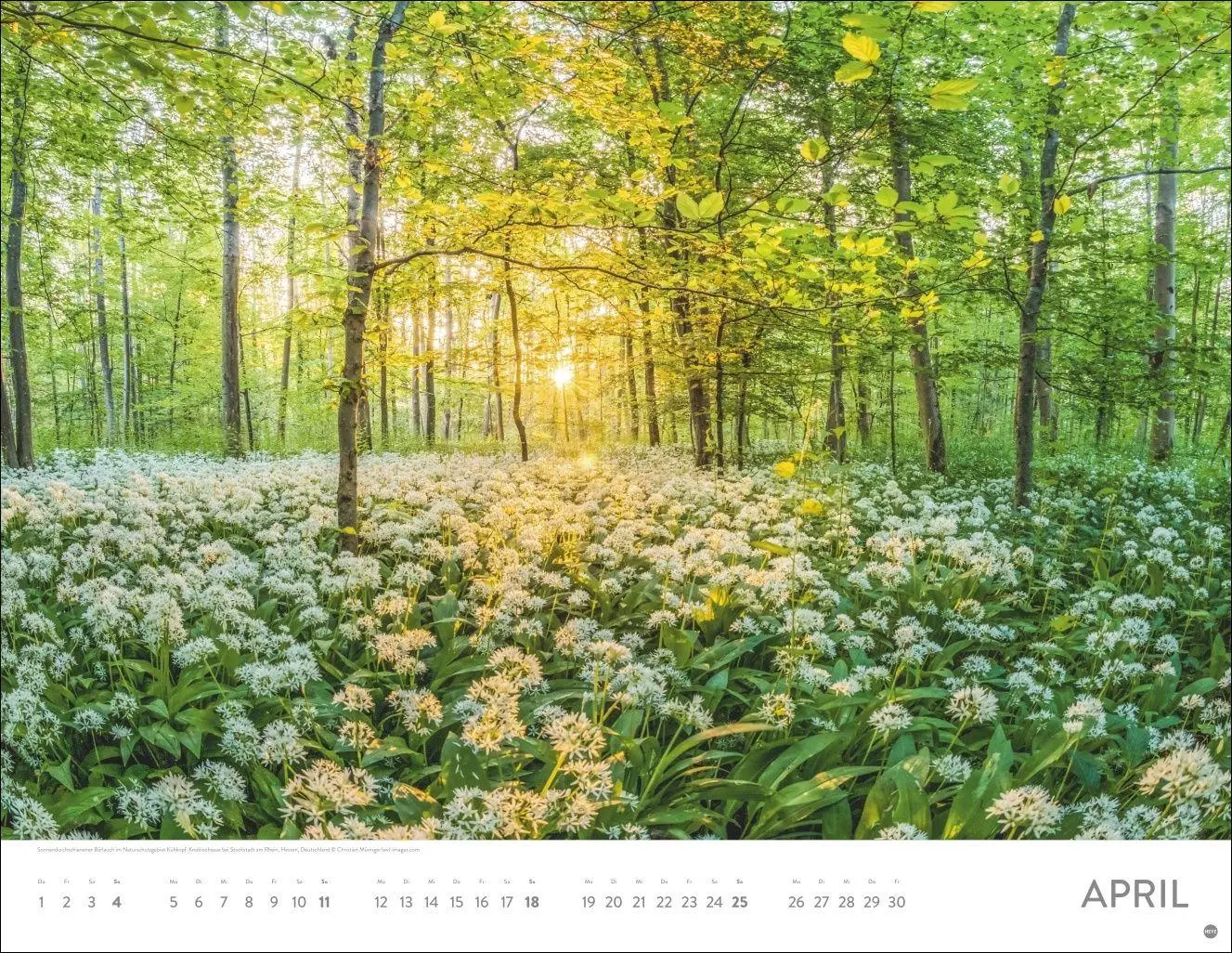 Bild: 9783756416189 | Sonnenzauber Posterkalender 2027 | Heye | Kalender | Spiralbindung