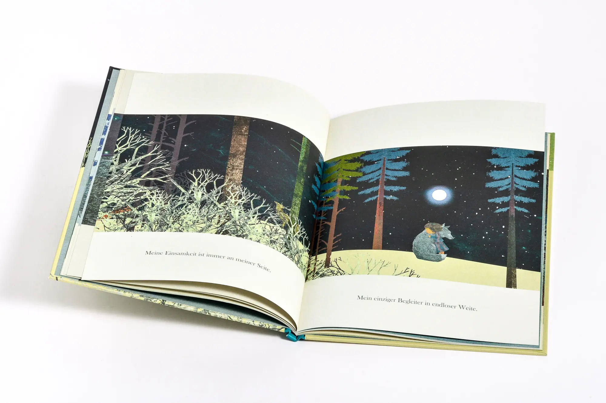 Bild: 9783791376189 | Einsam | Ein Bilderbuch für Kinder ab 4 Jahren | Britta Teckentrup