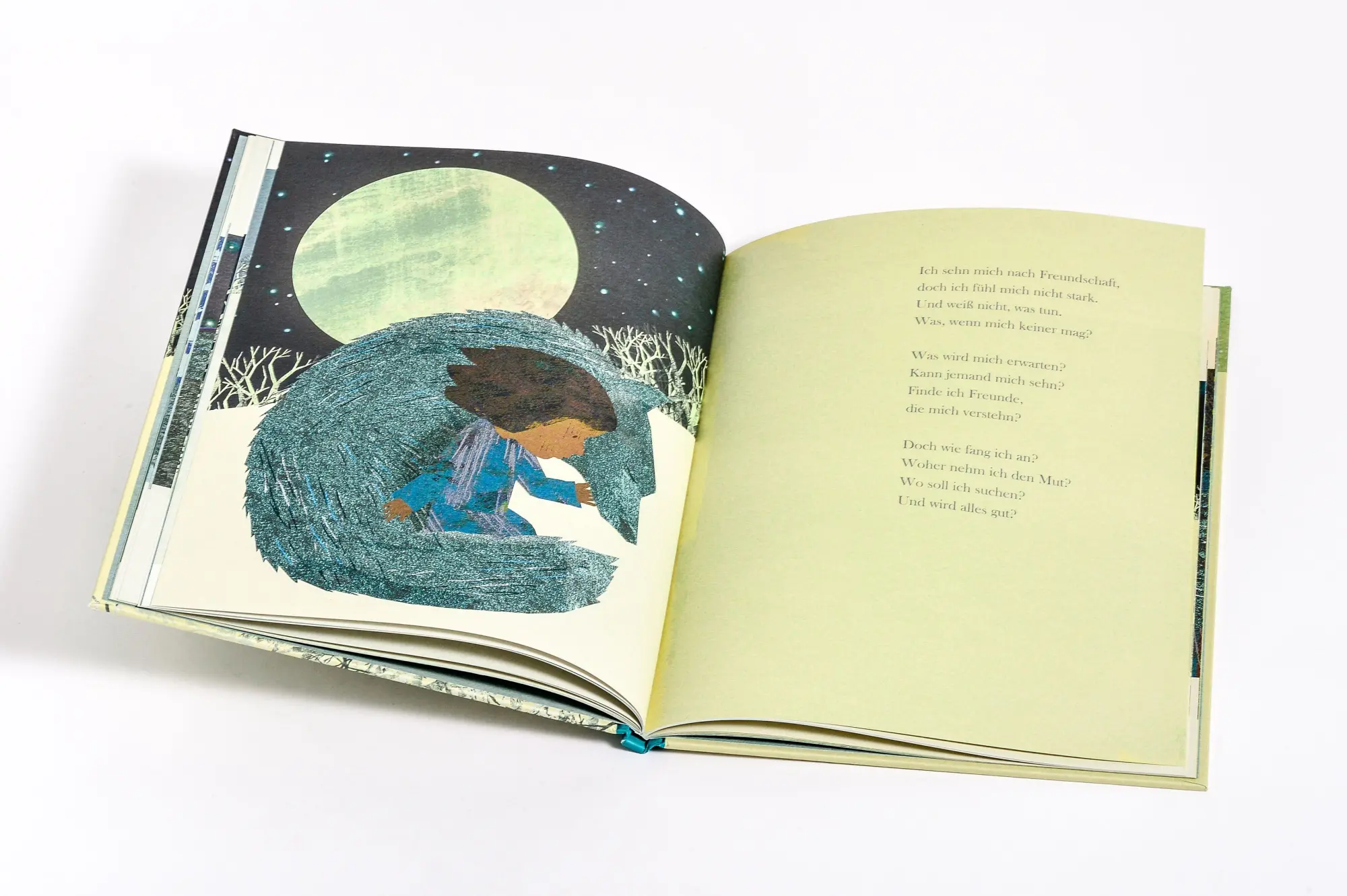 Bild: 9783791376189 | Einsam | Ein Bilderbuch für Kinder ab 4 Jahren | Britta Teckentrup