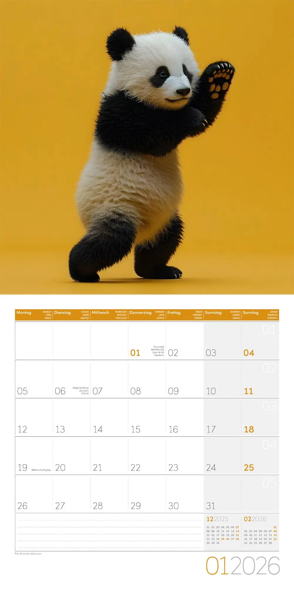 Bild: 9783838446189 | Dancing Animals Kalender 2026 - 30x30 | Ackermann Kunstverlag GmbH