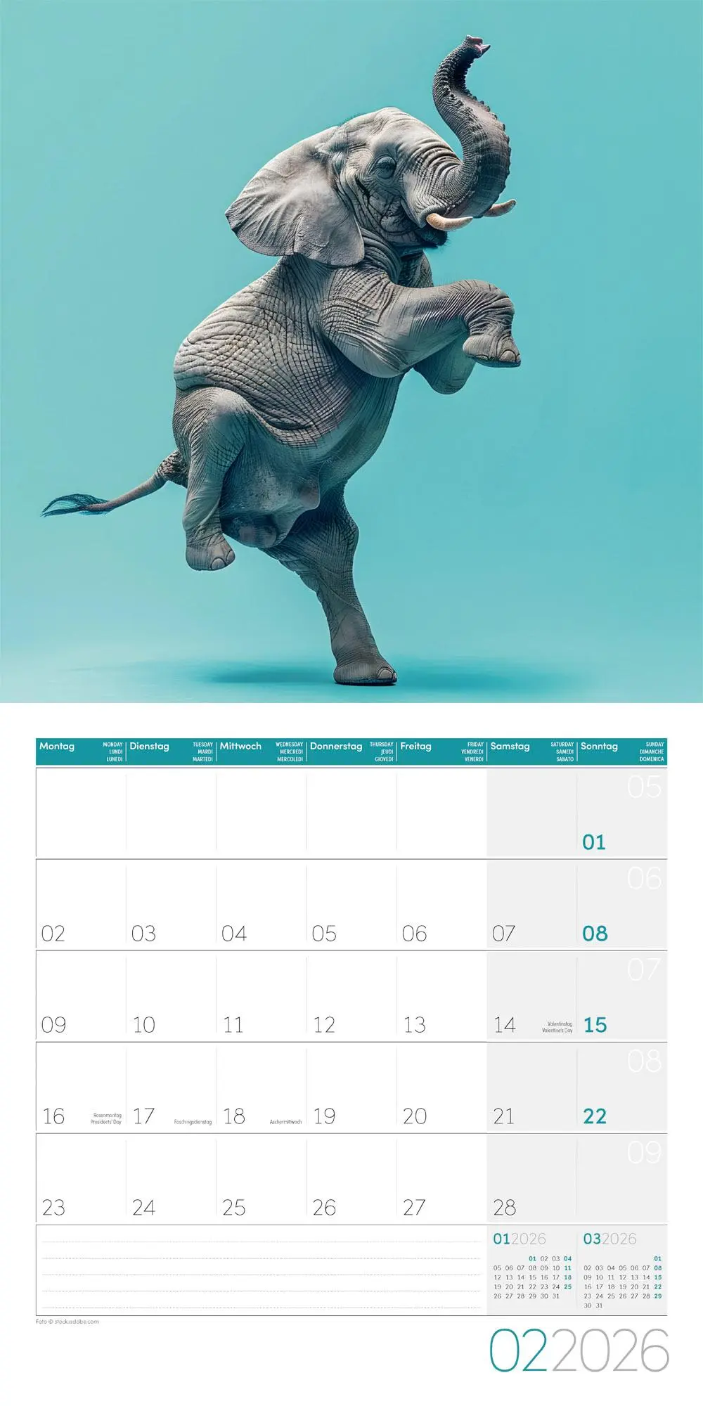 Bild: 9783838446189 | Dancing Animals Kalender 2026 - 30x30 | Ackermann Kunstverlag GmbH