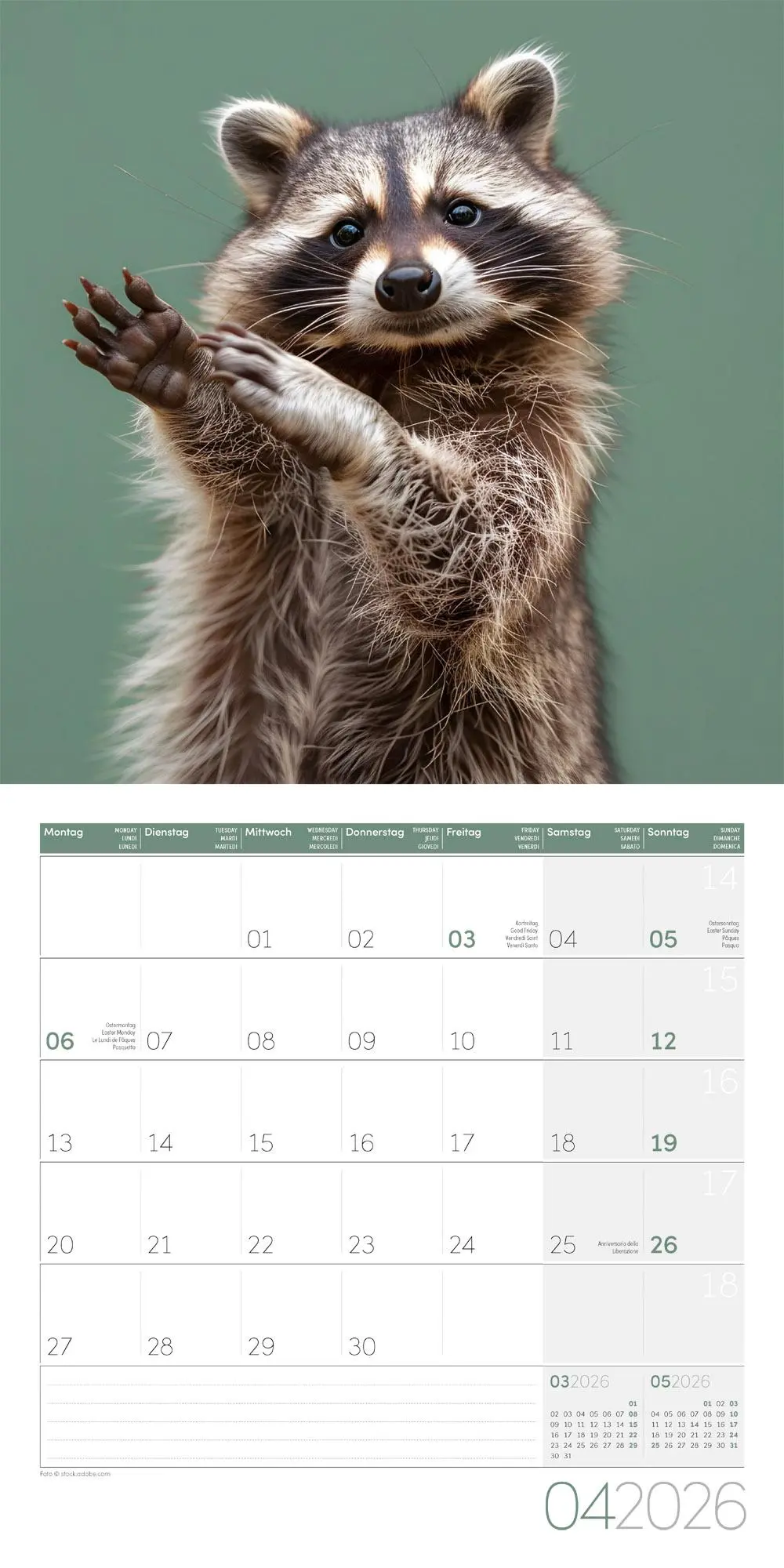 Bild: 9783838446189 | Dancing Animals Kalender 2026 - 30x30 | Ackermann Kunstverlag GmbH