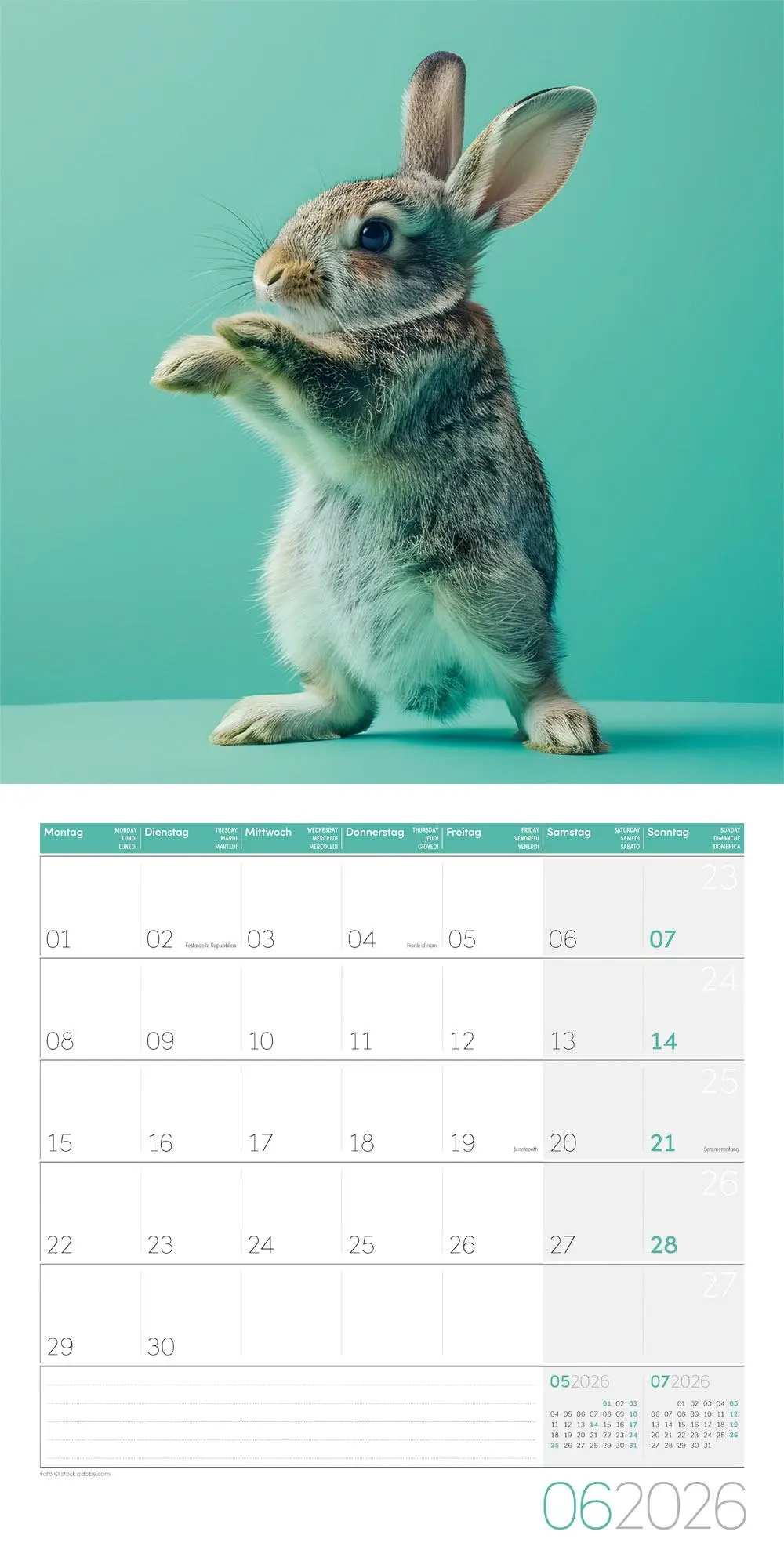 Bild: 9783838446189 | Dancing Animals Kalender 2026 - 30x30 | Ackermann Kunstverlag GmbH