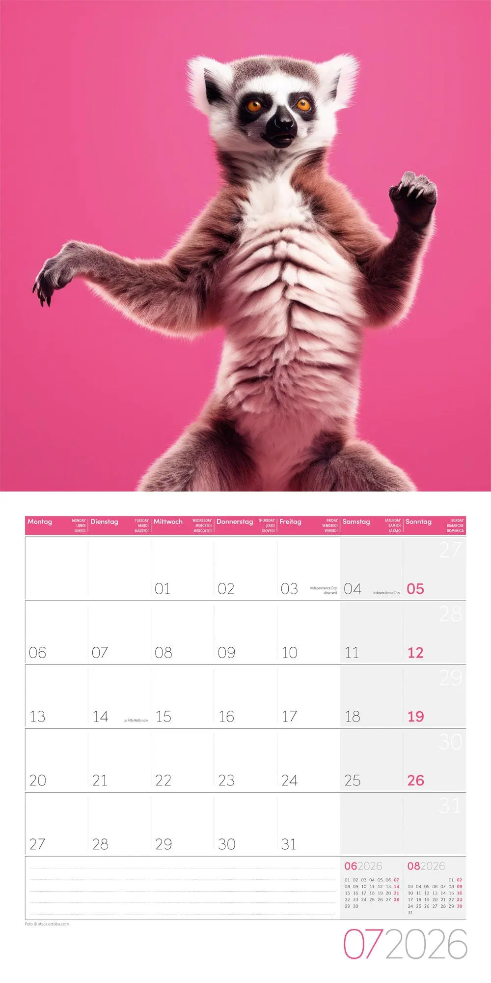 Bild: 9783838446189 | Dancing Animals Kalender 2026 - 30x30 | Ackermann Kunstverlag GmbH