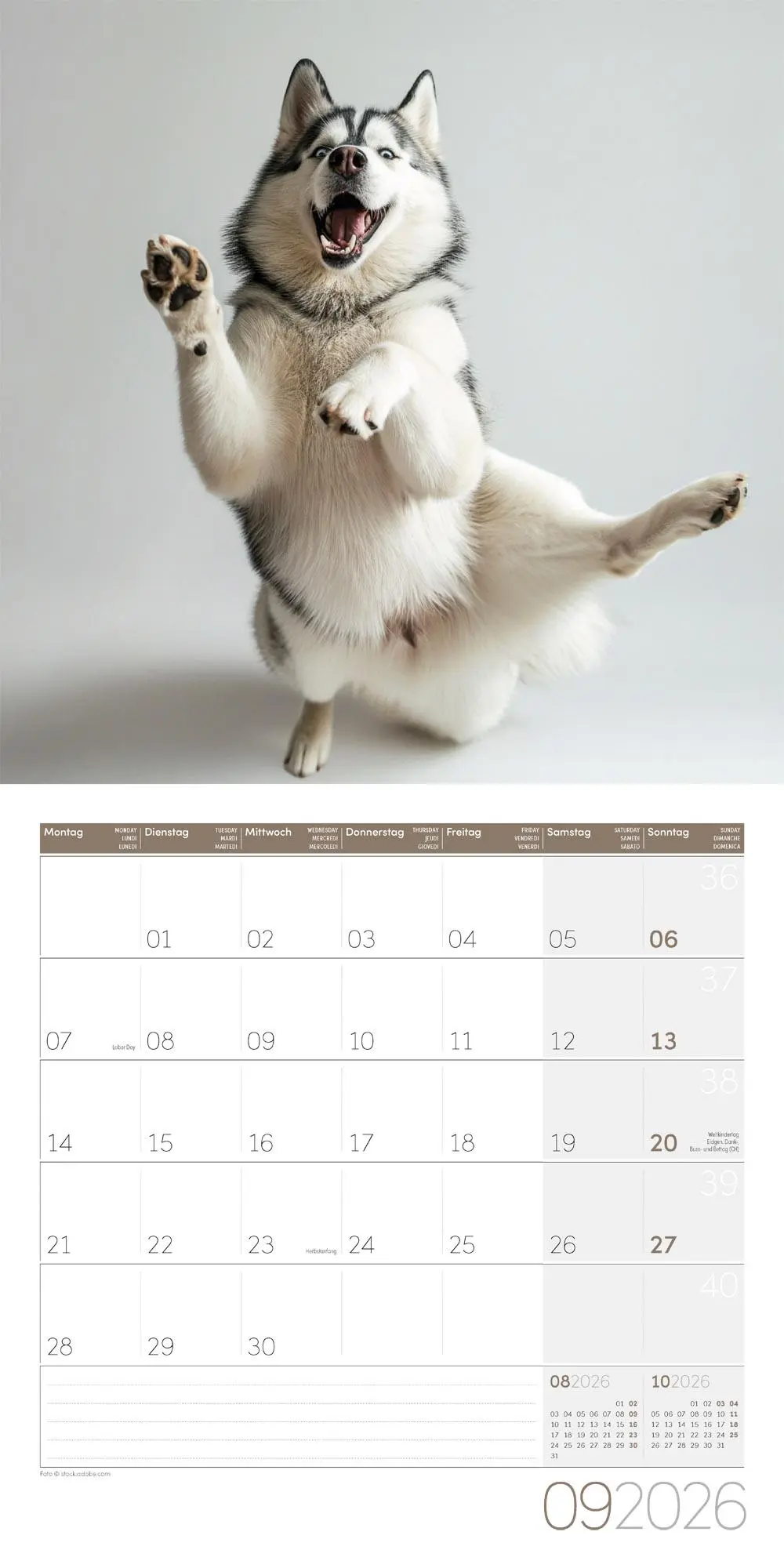 Bild: 9783838446189 | Dancing Animals Kalender 2026 - 30x30 | Ackermann Kunstverlag GmbH